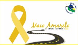 maio amarelo creci