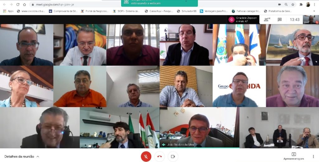sessão plenária federal 2021
